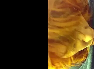 hotwife steffi witch sucking cock passionately