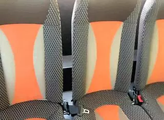 Crazy Man Flashes Cock on Public Bus as Girl Helps Him Finish