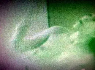 Korean Sunny In Part 2 Scene