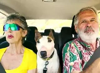 we drive around east oahu chatting sexually
