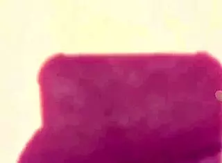 I Fucked My Stepsister For The First Time