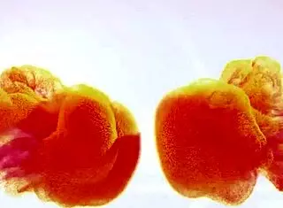 捷克尤物Jenifer Jane震动棒自慰高潮