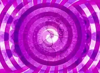 伪娘湿逼指令调教挑逗