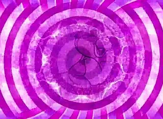 伪娘湿逼指令调教挑逗