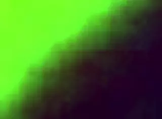 my thai stepsister who is a lesbian wants to fuck me