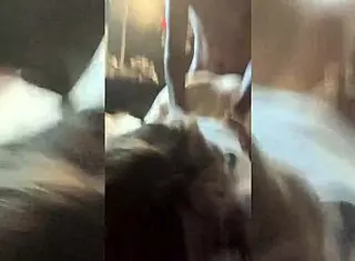 white girl gets dominated and moans black lives matters to her black master