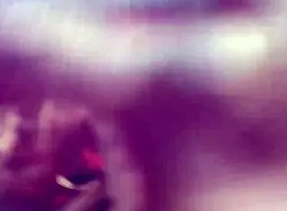 Clitlicker662 shares an update in the forest