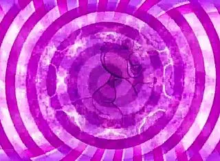 Sissy Trainer Teases With Ice Cream