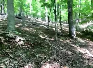 Clitlicker662 shares an update in the forest