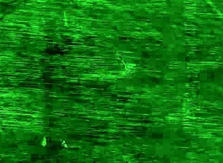 Princess zaynab gets fucked missionary by neighbor with big black dick