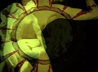 Vintage Erotic Art Featuring Beaver