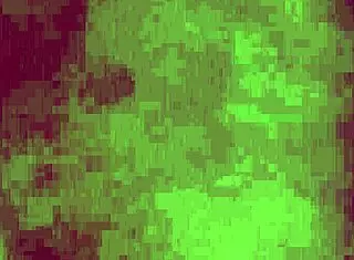 Marido n�o aguentou e colocou a esposa peluda pra sentar