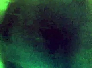 Amateur Redhead Sucks Big Cock With Passion