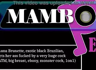luna brunette exotic black brazilian gets her ass fucked by a very huge cock anal atm big breast ebony monster cock 1on1 ob485