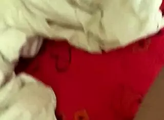 韩国骚货上门求肛交