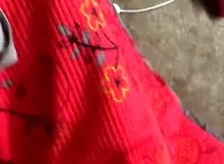 韩国骚货上门求肛交