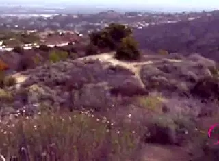 Cecelia Taylor on intimate date, having fun and giving amazing roadhead pov with creampie