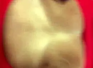 Ebony Milf vs Italian Machine in Interracial Pounding