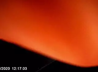 Homeless girl, blow my dick in the car