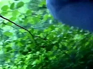 my wife fucks openly for everyone to see