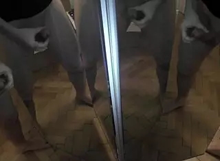 ONE MAN FACES 6 COCKS in MIRROR CUMSHOT