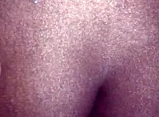 ebony cat named pussy plays football in the park with friends