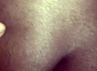 ebony cat named pussy plays football in the park with friends