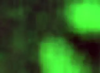 I fucked slutty blonde milf hard