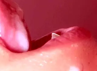 Japanese love story continues in part four