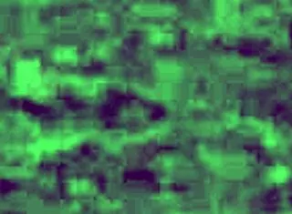 Free Sadomasochism Videos