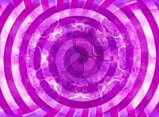 Mistress teases with monster cock in sissy training tribute