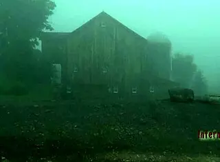 Free Sadomasochism Videos