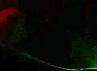 Dirty bestie fuck doggystyle blowjob with big cock.