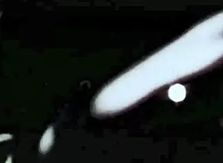 Check Out This Vintage Interracial Blowjob With Hairy Pussy And Beaver Fucking