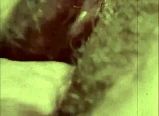 Check Out This Vintage Interracial Blowjob With Hairy Pussy And Beaver Fucking