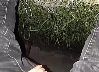 Lesbian Friends Piss And Masturbate In Public Street!