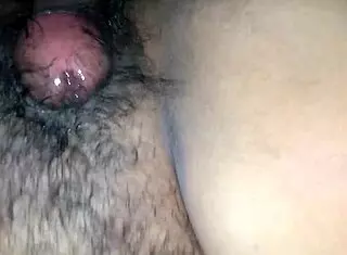 ricas metidas de pito