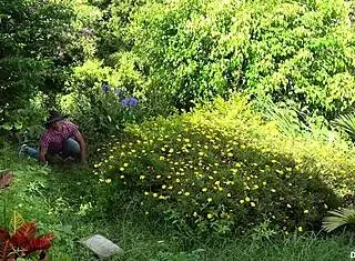 陌生人骗单纯April上钩