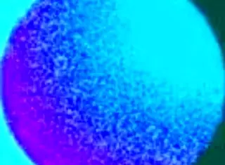 Big Ass Student Seduces in Office for Wet Doggystyle Action with Monster Cock