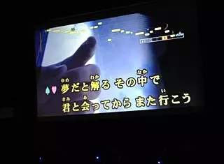 Japanese Number One Internet Karaoke for Men