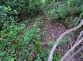 Kally Xo Back Starring in Her New Scene the Prison Break Xxx