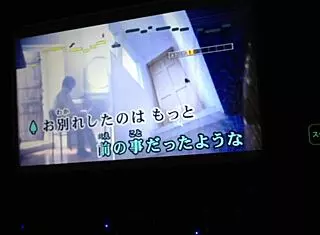 Japanese Number One Internet Karaoke for Men