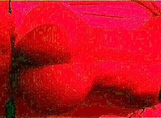 So I MET this HOT Brazilian with a BIG ASS at the beach and we did POV fucking in athletic style