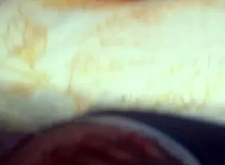 You know, this ebony milf wanted some homemade action so we went for intense doggystyle bent over fun.