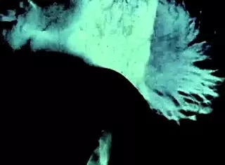 Remember that vintage seventies porn shoot with hairy pussies in group action?