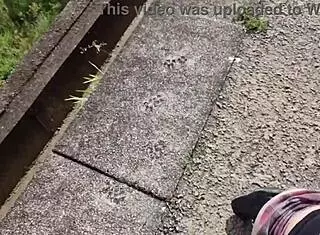 Chubby Girl Gets Fucked Hard In The Street!