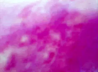 Real Pussy Orgasm Contractions With Cum Inside Under Microscope