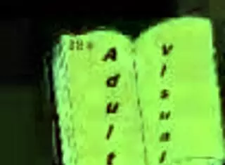 Exploring Harem Hotel 239 game adventure