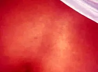 i found this homemade video of fucking my cheating argentine neighbor girl on the terrace