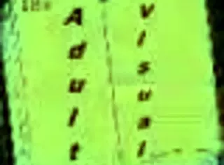 Exploring Harem Hotel 239 game adventure